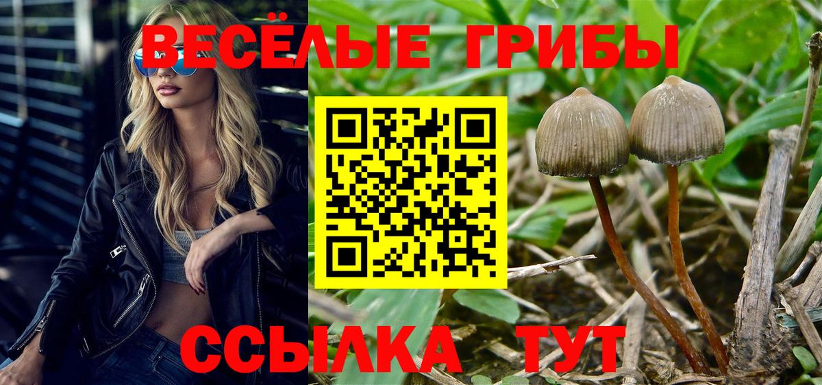 Галлюциногенные грибы мухоморы  Вход с VPN  Набережные Челны 