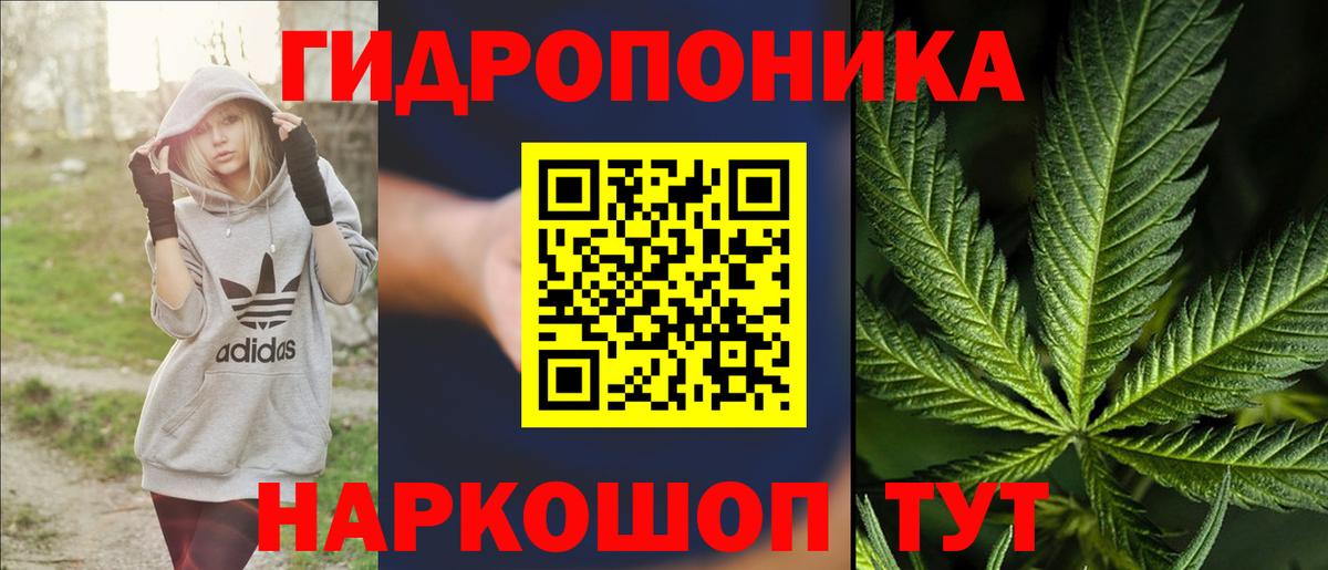 Бошки Шишки семена Набережные Челны